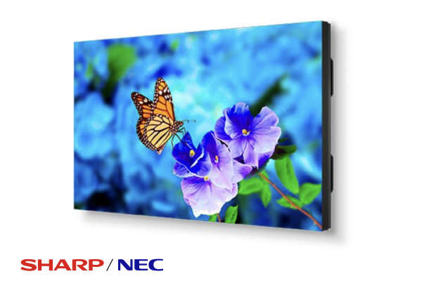 Sharp NEC Videowall